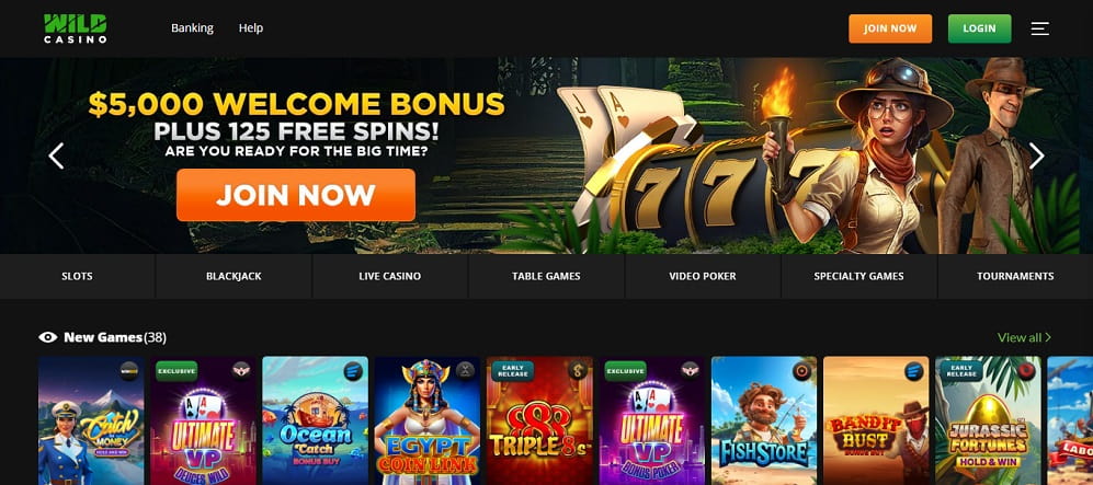 WIild casino